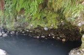 Bigelow Hot Springs