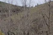 Grande Hot Springs RV Resort