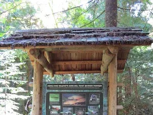 Indigo Springs