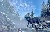 McCredie Hot Springs