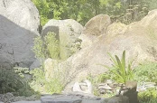 The Springs