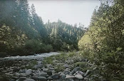 Willamette National Forest